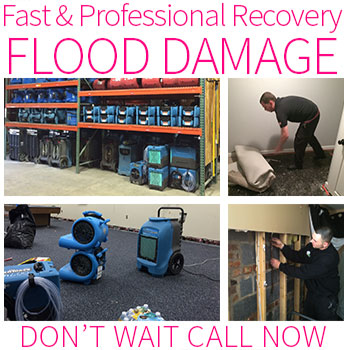 Water Damages and Mold Remediation Services