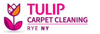 Tulip Carpet Cleaning Rye NY